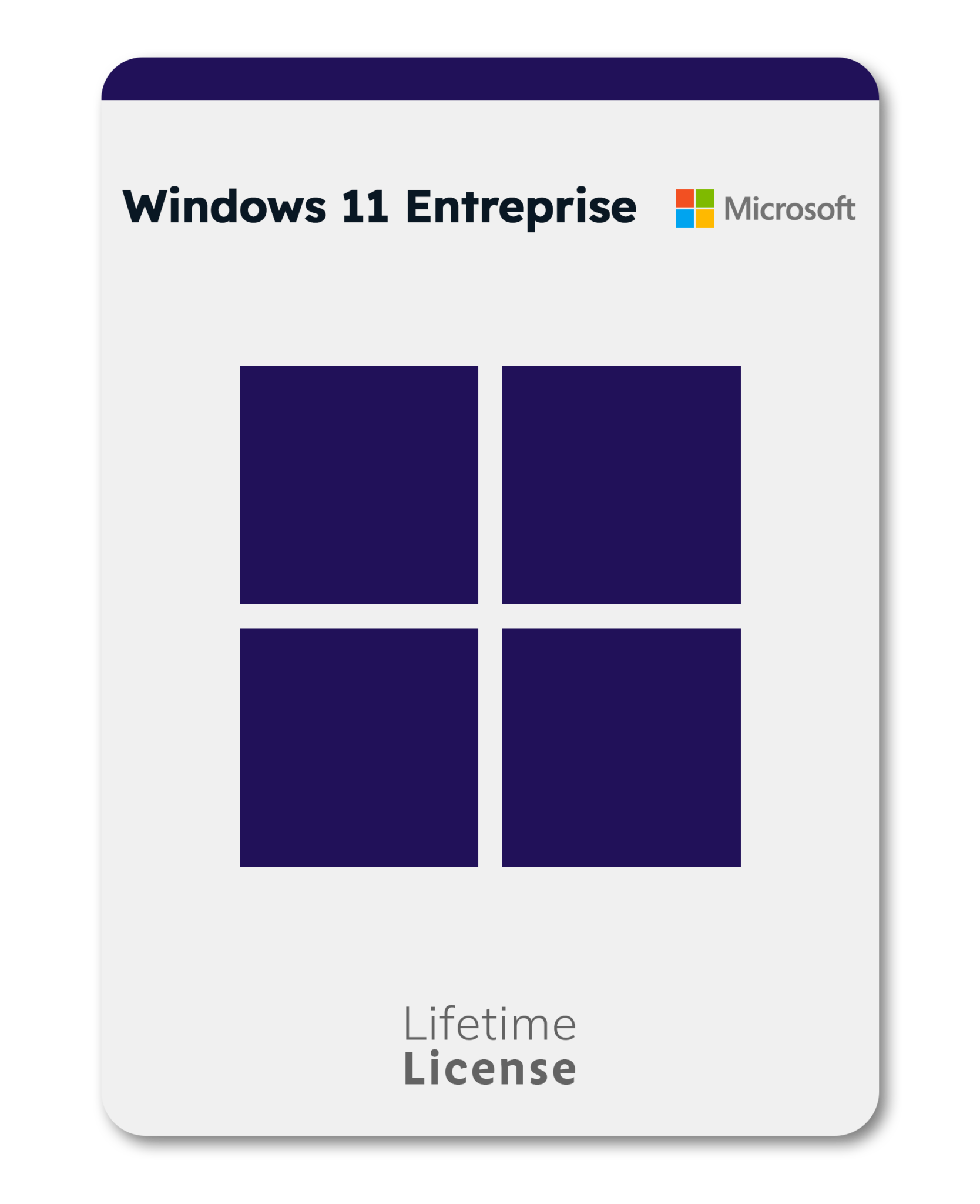Windows 11 enterprise vedrom