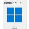 Windows 11 Pro for Workstations